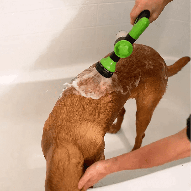 PawJet©  &#39;My Dog&#39;s Bath Time Revolutionized by PawJet&#39; - WOWGOOD