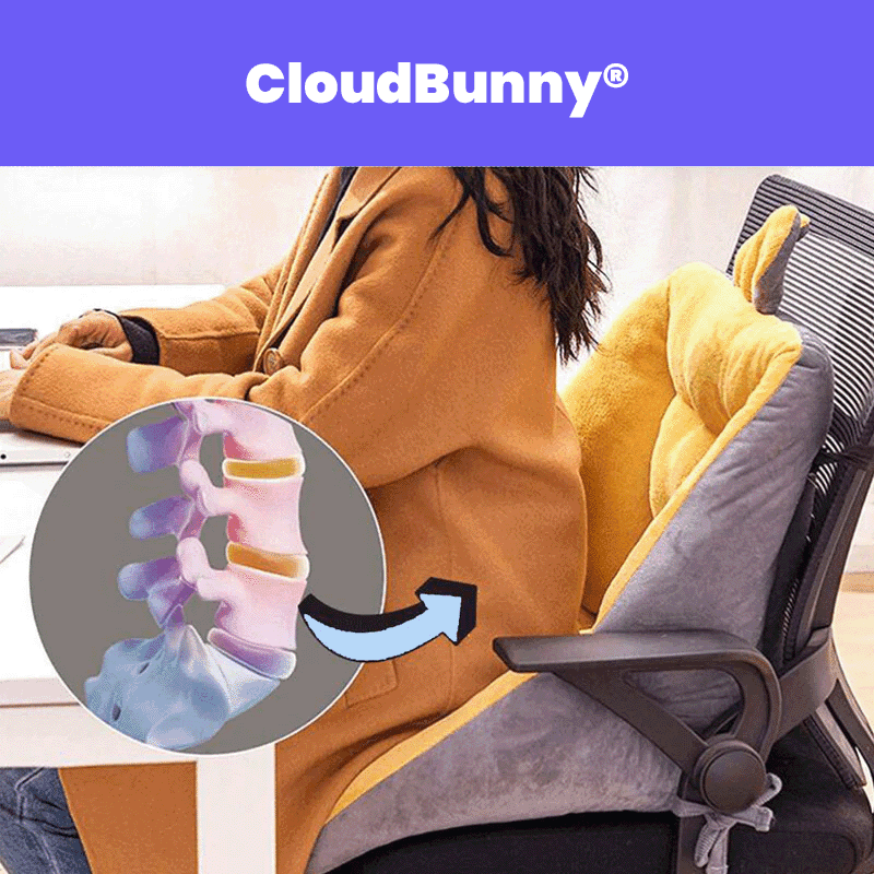 CloudBunny® #1 Back Pain Relief Seat Cushion - WOWGOOD